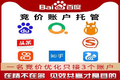 专业SEM服务托管方案案例分析